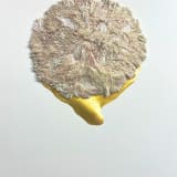 Hayoon Jay Lee Eternal Mother – Watching, 2023–24 Rice, modeling paste, 24k gold, and acrylic on wood panel, 48 x...