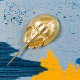 John Knuth Entering the Blue Period, 2023 Gilded horseshoe crab shells and enamel on linen, 48 x 36 in. (121.9...