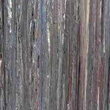 Larry Poons, Sleer, 1981