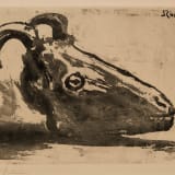 Pablo Picasso Le Crâne de Chèvre (Goat's Head), 1952 Aquatint, 18 5/8 x 25 1/4 in. (47.3 x 64.1 cm)
