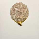 Hayoon Jay Lee Eternal Mother – Watching, 2023–24 Rice, modeling paste, 24k gold, and acrylic on wood panel, 48 x...
