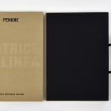 Photo Giuseppe Penone's art book "Matrice Di Linfa" with white gloved hands about to open it.