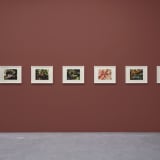 Steve McQueen, Bounty (detail) , 2024 . Installation view, Dia Chelsea , New York, 2024 – 25. © Steve McQueen. Photo: Don Stahl . Courtesy Dia Art Foundation