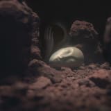 Pierre Huyghe, Liminal, 2025, installation view, Leeum Museum of Art, Seoul, South Korea (2025). Courtesy of the artist and Marian Goodman Gallery Photo: LESS. © Pierre Huyghe/ADAGP, Paris (2025).