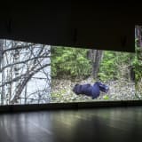 EIJA-LIISA AHTILA Reflection of a Forest