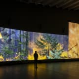 EIJA-LIISA AHTILA Reflection of a Forest