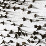 Giuseppe Penone, A occhi chiusi (With Eyes Closed), 2009. Acrylic, glass microspheres, acacia thorns on canvas, and white Carrara marble. Photo © Archivio Penone. Courtesy Giuseppe Penone.