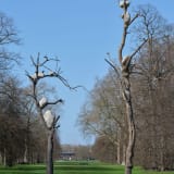 Giuseppe Penone, Idee di pietra (Ideas of Stone), 2010 - 2024. Bronze and river stones. ©Photo: George Darrell. Courtesy Giuseppe Penone and Serpentine.
