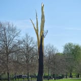 Giuseppe Penone, Albero folgorato (Thunderstruck Tree), 2012. Bronze and gold. ©Photo: George Darrell. Courtesy Giuseppe Penone and Serpentine.
