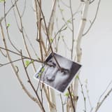 Giuseppe Penone, Sguardo vegetale (Vegetal Gaze), 1995. Photo ceramic. ©Photo: George Darrell. Courtesy Giuseppe Penone and Serpentine.