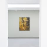 Daniel Boyd, Untitled (IANATAB), 2024. Installation view: Sharjah Biennial 16, Al Mureijah Art Spaces, Sharjah, 2025. Photo: Shanavas Jamaluddin
