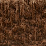 Image thumbnail: Delcy Morelos - El espacio vientre