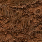 Image thumbnail: Delcy Morelos - El espacio vientre