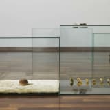 Image thumbnail: Edith Dekyndt - 
