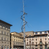 Giuseppe Penone, "Abete," Piazza della Signoria