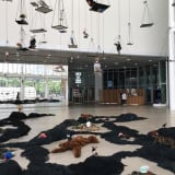 Annette Messager “Le Désir attrapé par le masque,” 2021 Installation; 57 taxidermied animals, 60 mirrors, nets, various materials Dimensions variable
