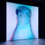 Pierre Huyghe Of Ideal, 2019-ongoing Deep image reconstructions, real-time generated reconstructions, face recognition, screens, sensors, sound Dimensions variable