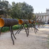 Installation view of exhibition by Giuseppe Penone at Galleria Borghese