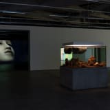 Pierre Huyghe exhibition at EMMA Museum