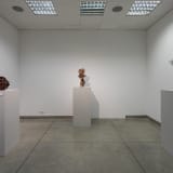 Installation view of "Tony Cragg: Alternative Reality" at Państwowa Galeria Sztuki