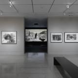 Installation view, "William Kentridge: In Praise of Shadows," Museum of Fine Arts, Houston, 25 June – 10 September 2023