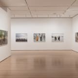 Installation view: An-My Lê - Between Two Rivers/Giữa hai giòng sông/Entre deux rivières at MoMA