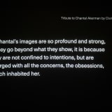 Image thumbnail: Chantal Akerman - Encarar La Imatge