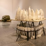 Installation view, “Tony Cragg: Rare Earth," Museu Nacional de Arte Contemporânea, Lisbon