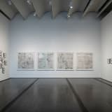Installation view: “Tacita Dean: Blind Folly,” The Menil Collection, 2024. photo credit: Paul Hester / The Menil Collection