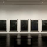 Installation view: “Tacita Dean: Blind Folly,” The Menil Collection, 2024. photo credit: Paul Hester / The Menil Collection