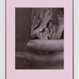 Artwork thumbnail: Josephine Pryde, Pacific Driftwood (Pink Lilac Filter), 2014/2020