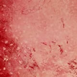 Artwork thumbnail: Rachel Howard, Love Fool, 2019