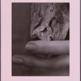 Artwork thumbnail: Josephine Pryde, Pacific Driftwood (Pink Lilac Filter), 2014/2020