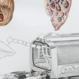 Artwork thumbnail: Jim Shaw, Anatomical Weird-Ohs with Mirrored Vacuum Cleaners, 2013