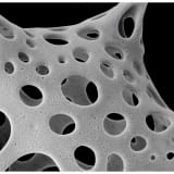 Nanocosmos: Journeys in Electron Space Michael Benson