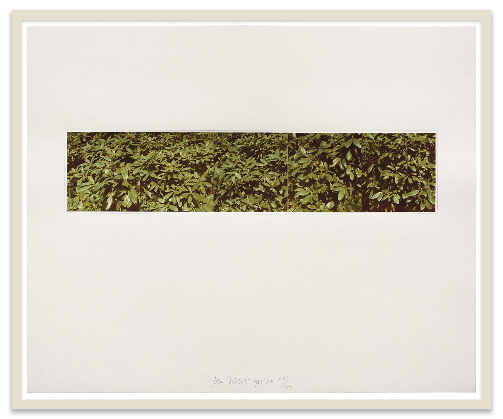 Jan Dibbets Untitled (Structure Piece), 1975 5 color photographs, mounted on rag paper Sheet: 20 x 24 in. (50.8 x...