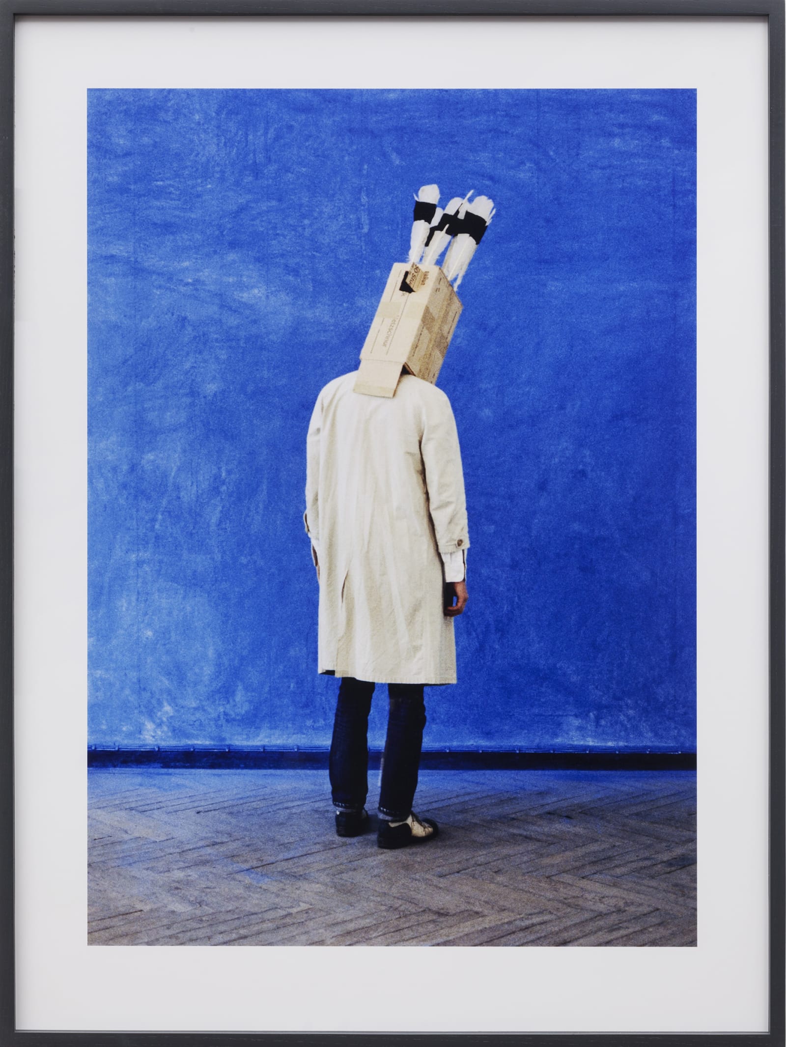 Lothar Baumgarten Makunaíma, 1971