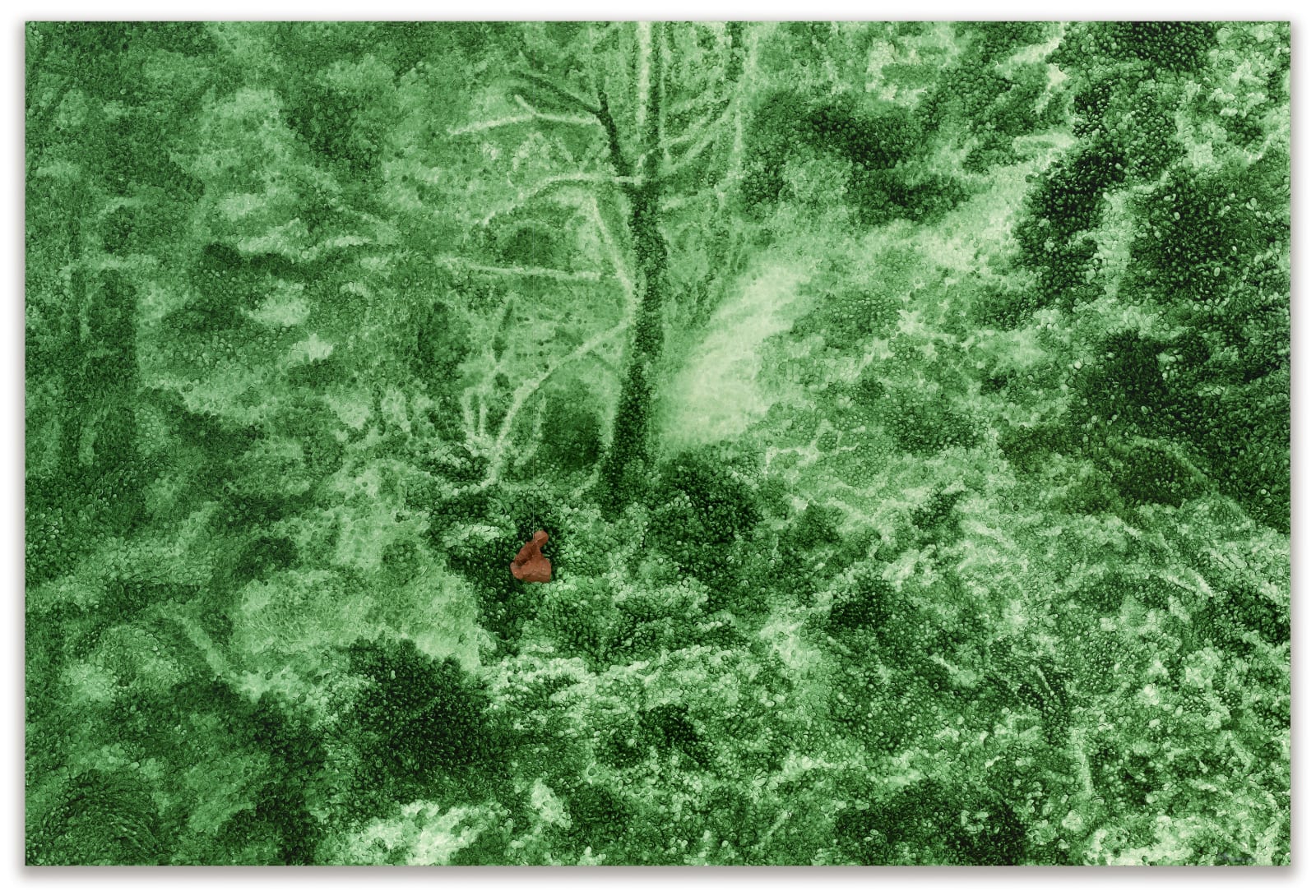 Giuseppe Penone Leaves of Grass, 2013