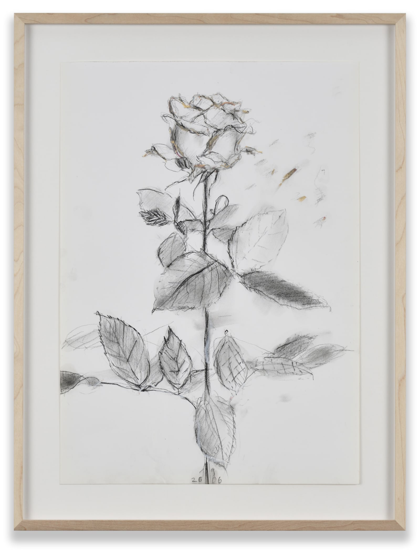 Sabine Moritz Rose 49, 2019 Crayon, oil crayon on paper Paper: 16 1/2 x 11 5/8 in. (42 x 29.6...