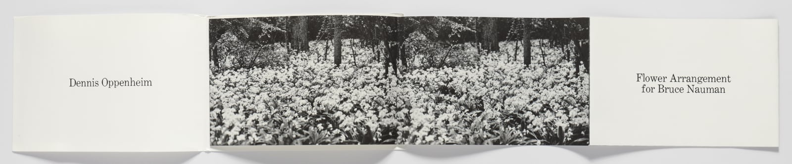 Dennis Oppenheim Flower Arrangement for Bruce Nauman, 1969 Offset lithograph on paper, 8 pages, folded, with cover Folded: 6 5/8...