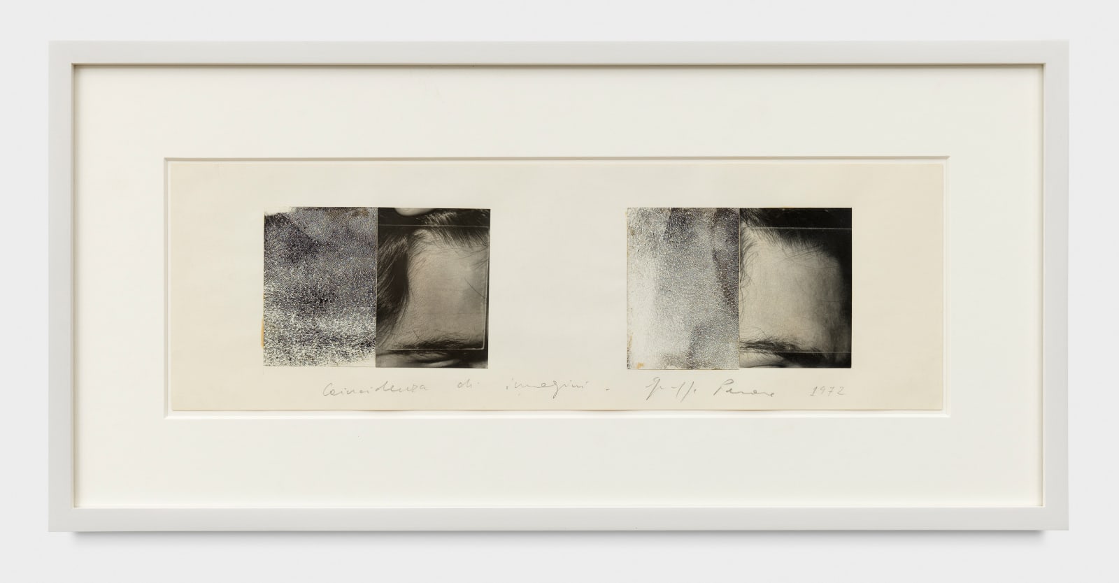 Giuseppe Penone Coincidenza di immagini, 1972