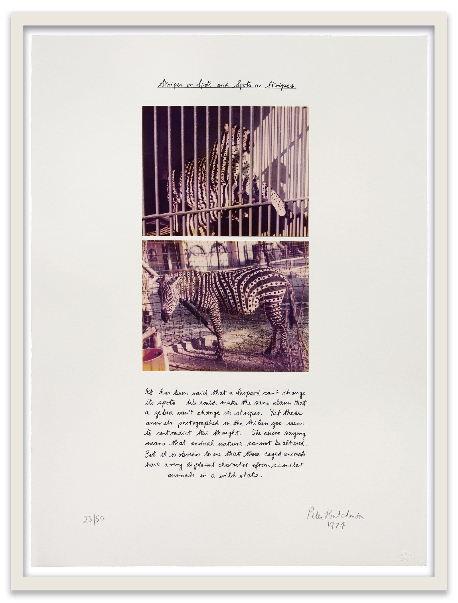 Peter Hutchinson Stripes on Spots and Spots on Stripes, 1974 Color photographs and screenprint on paper 30 x 22 in....