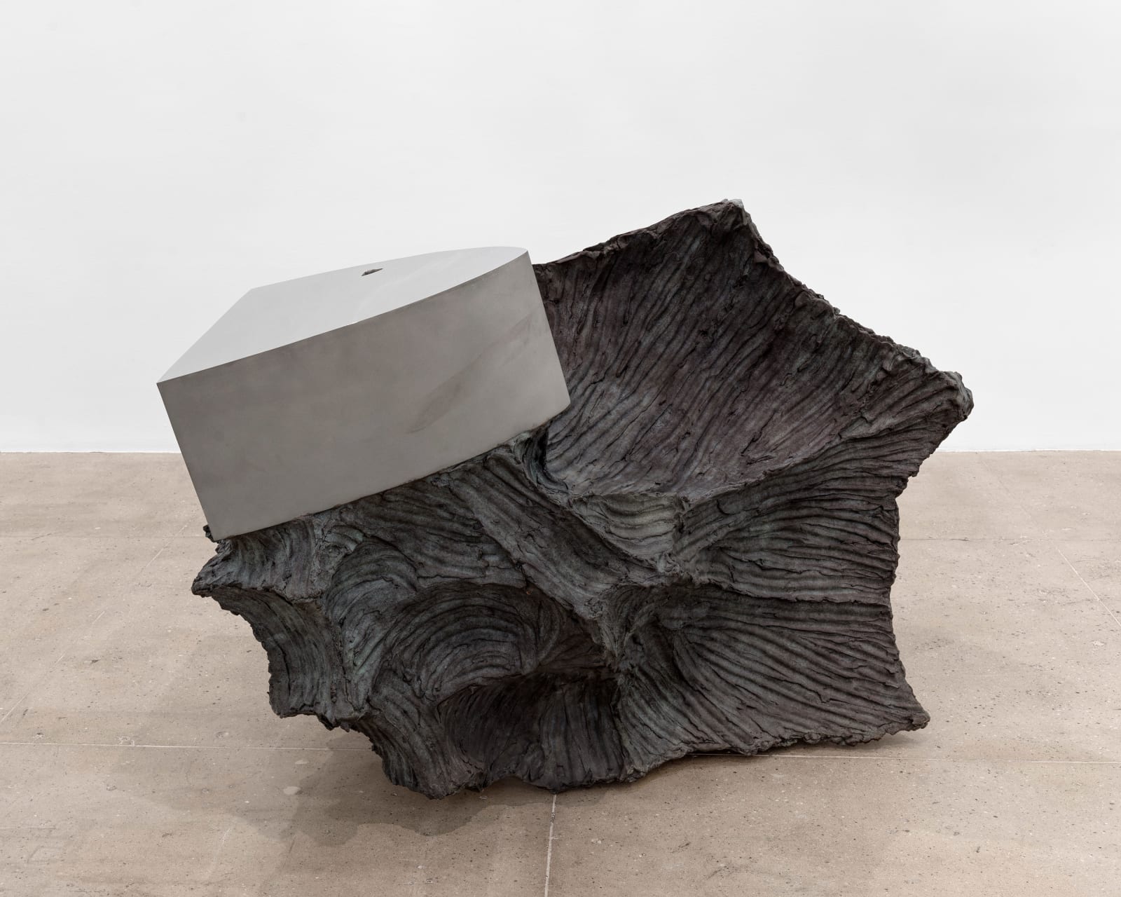 Giuseppe Penone Geometria nelle mani - triangolo (semi-curvo), 2005