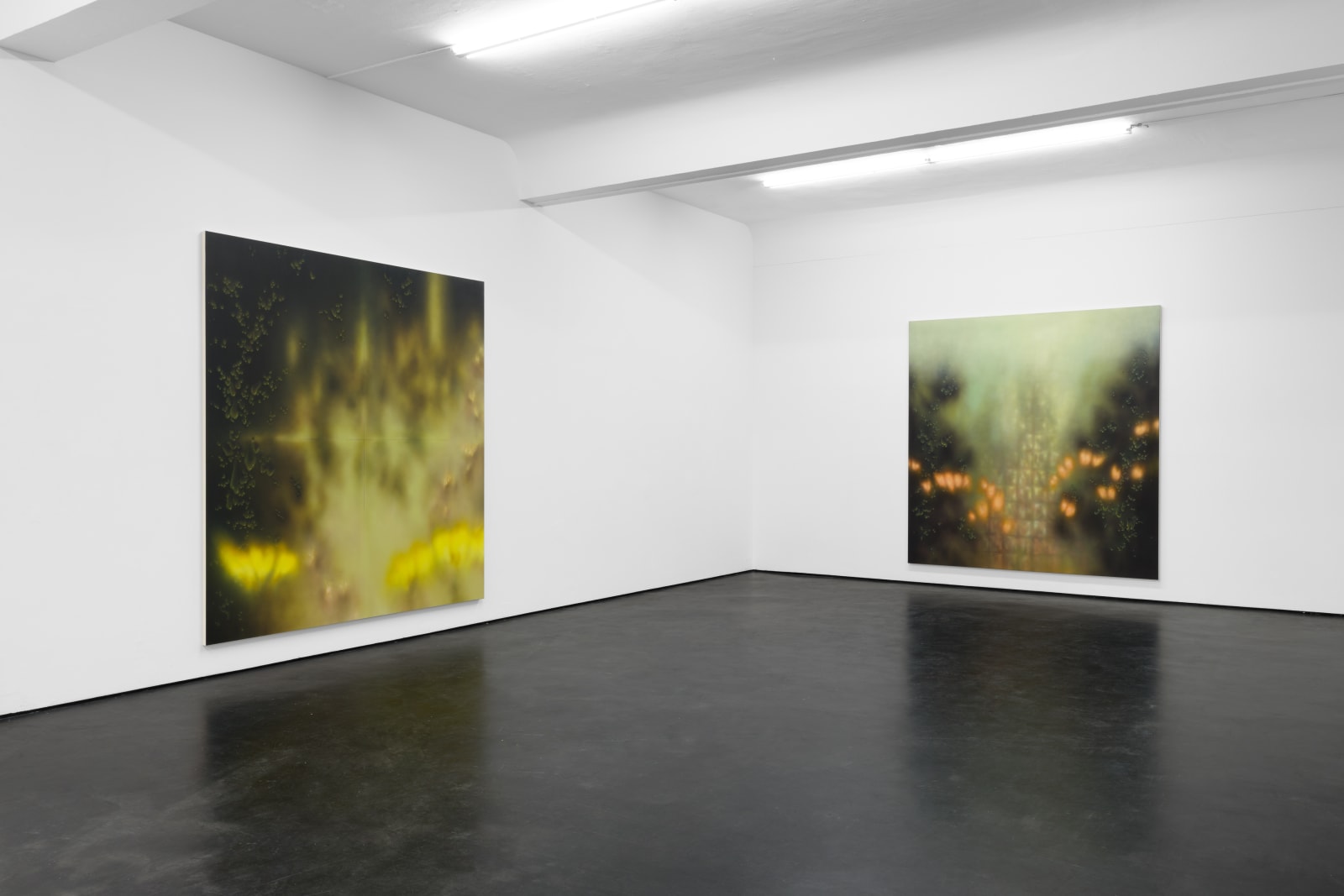 valeurs refuge | natacha donzé