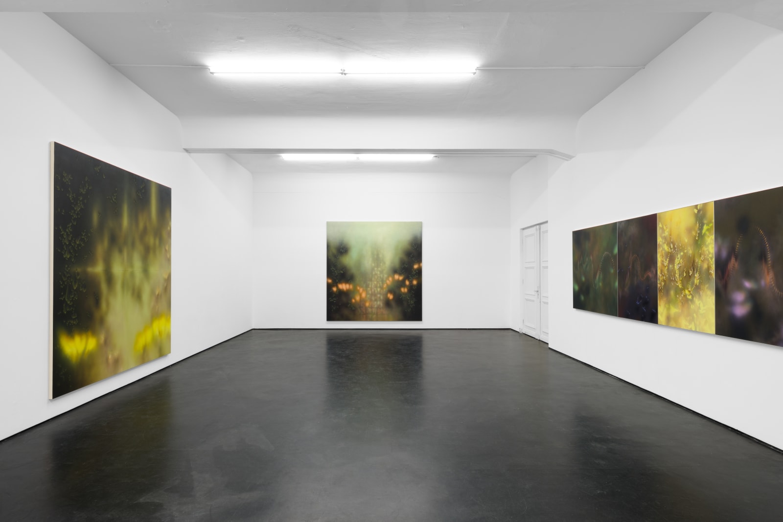 valeurs refuge | natacha donzé