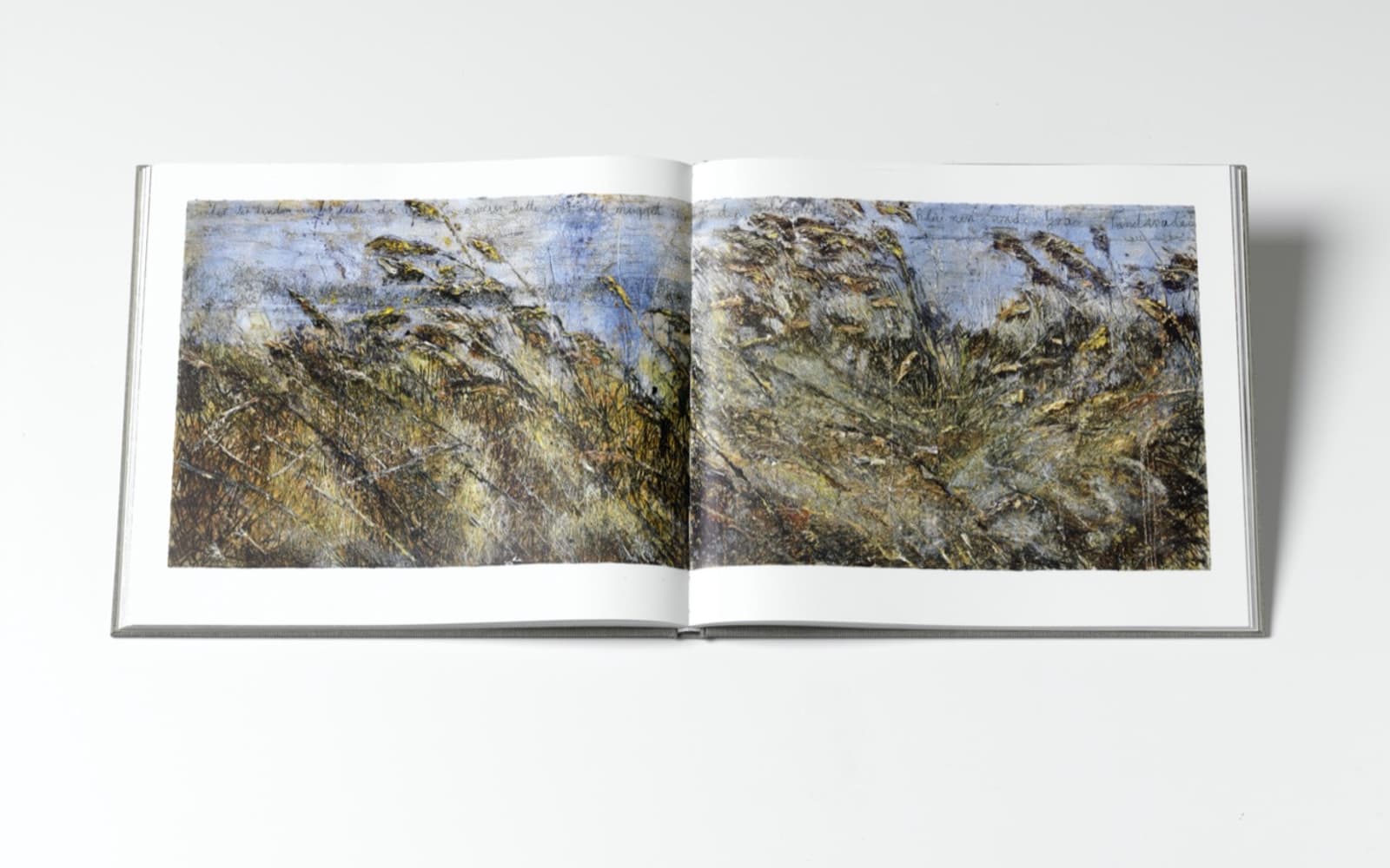 Anselm Kiefer Für Walther von der Vogelweide