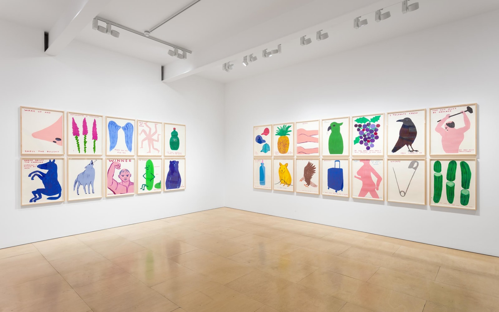 David Shrigley