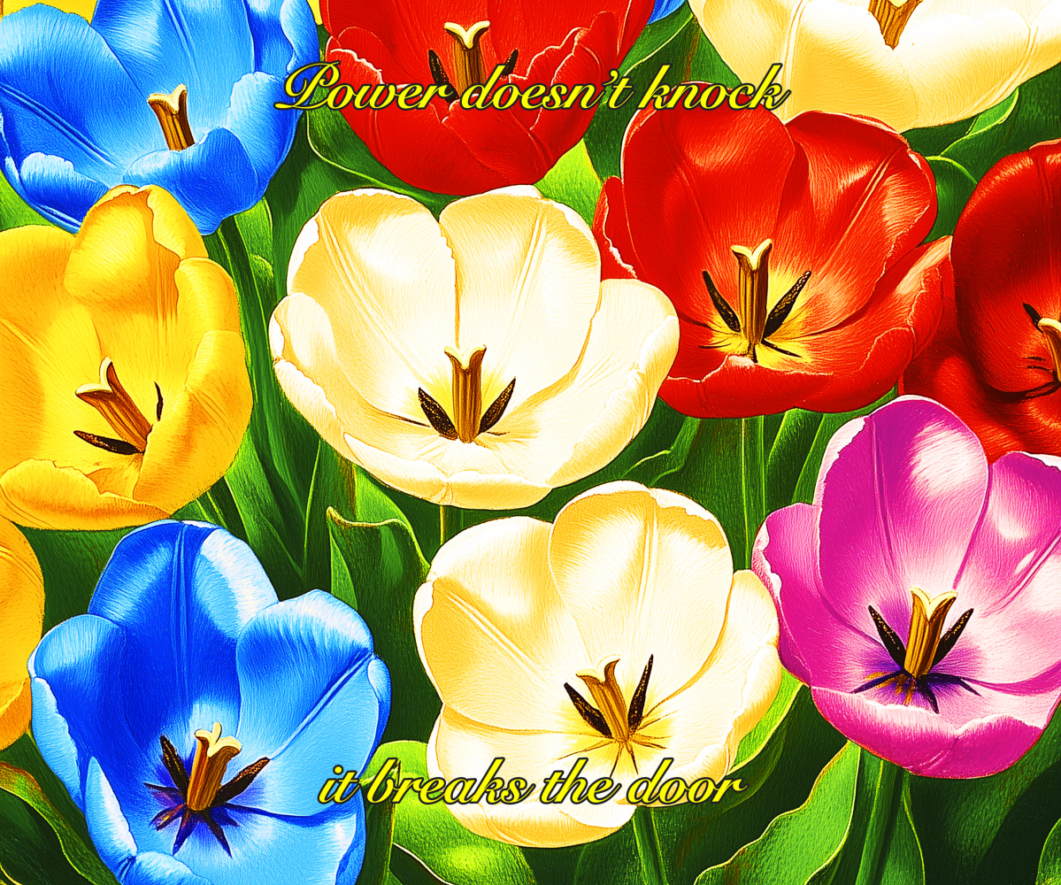 Cemile Sahin THE MIAMI EDIT