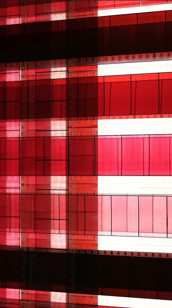 Rosa Barba THE MIAMI EDIT