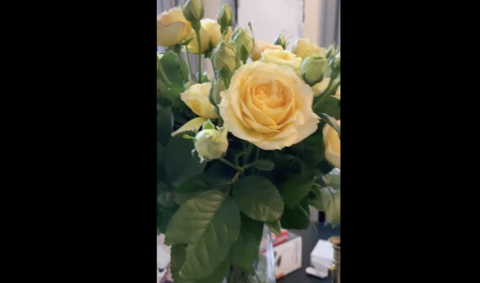 Voix Baudelairiennes: Elizabeth Peyton Paysage